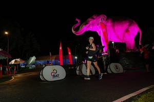 BIB: 
                            <button type="button" onclick="openModal(26544277)" class="btn btn-primary btn-sm float-right btn-popup" data-toggle="modal" data-target=".modal-high-quality">
                        <i class="fas fa-shopping-cart"></i> Add to Cart
                    </button>
                                            <button type="button" onclick="isThisMe(26544277, true)" class="btn btn-success btn-sm float-right btn-popup btn-isme hidden" data-toggle="tooltip" data-placement="bottom" title="นี่คือรูปของคุณใช่ไหม คลิกที่นี่เพื่อเอาเข้าอัลบั้ม">
                        <i class="fas fa-plus"></i> Add to album
                    </button>
                    <button type="button" onclick="isThisMe(26544277, false)" class="btn btn-warning btn-sm float-right btn-popup btn-isnotme hidden">
                        <i class="fas fa-ban"></i> Remove from album
                    </button>